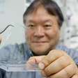 Cientistas no Japão desenvolvem plástico que se dissolve na água do mar em poucas horas