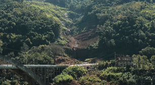 Mata Atlântica: desmatamento cai só 2% em um ano e pode levar à extinção de espécies e surtos na saúde pública