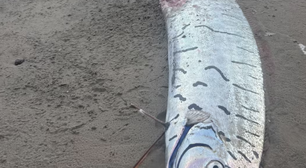 Enorme peixe 'do fim do mundo' é encontrado em praia da Austrália