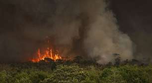 Às vésperas da COP30, desmatamento na Amazônia aumenta 91% em maio