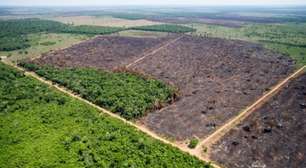 Alta no desmatamento faz Brasil correr risco de chegar à COP com derrotas em série