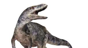 A nova espécie de dinossauro que 'reescreve' história da evolução do Tiranossauro Rex
