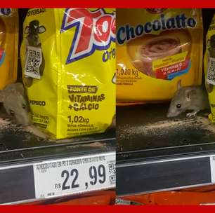 Mulher flagra rato comendo achocolatado dentro de supermercado no litoral de SP: 'Absurdo'